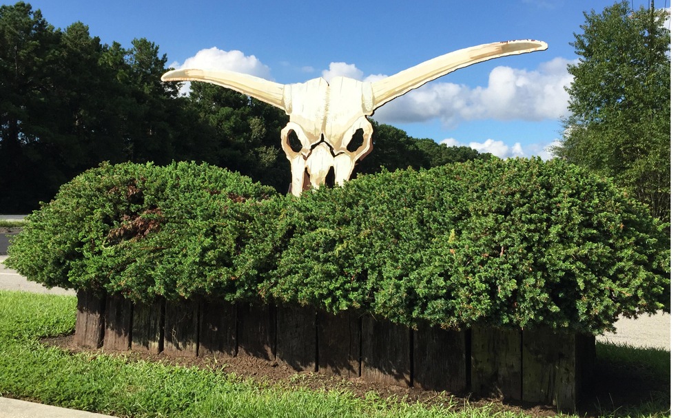 4321 Caledonia Ln, Mount Pleasant, SC 29429 - photo 1