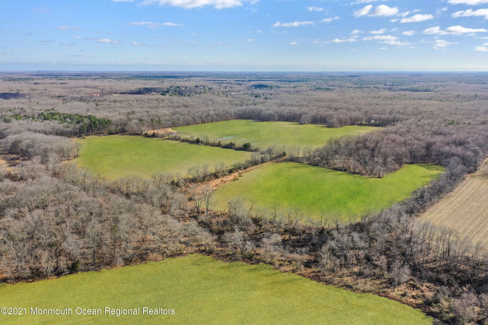 004_dji_0716_grass - Copy
