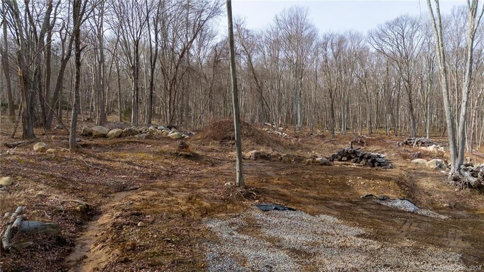 12 Swain Johnson Trail, Haddam, CT 06438 - photo 1