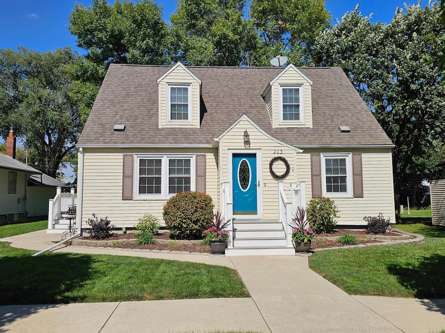 203 3rd Ave E, Lamberton, MN 56152 - photo 1