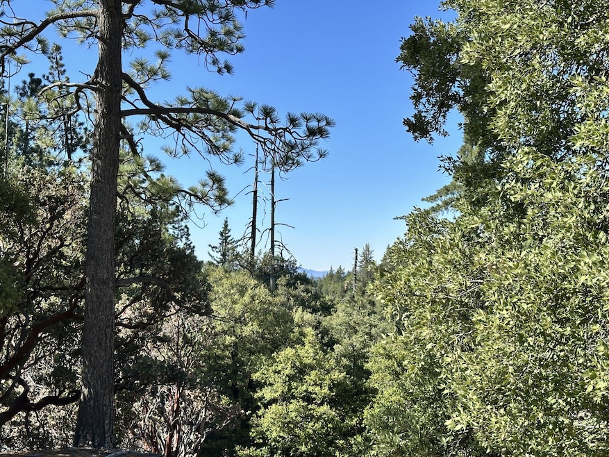 0 Mountain View unit 2011252, Idyllwild, CA - photo 1