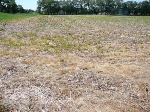 Parcel I, US 12 photo