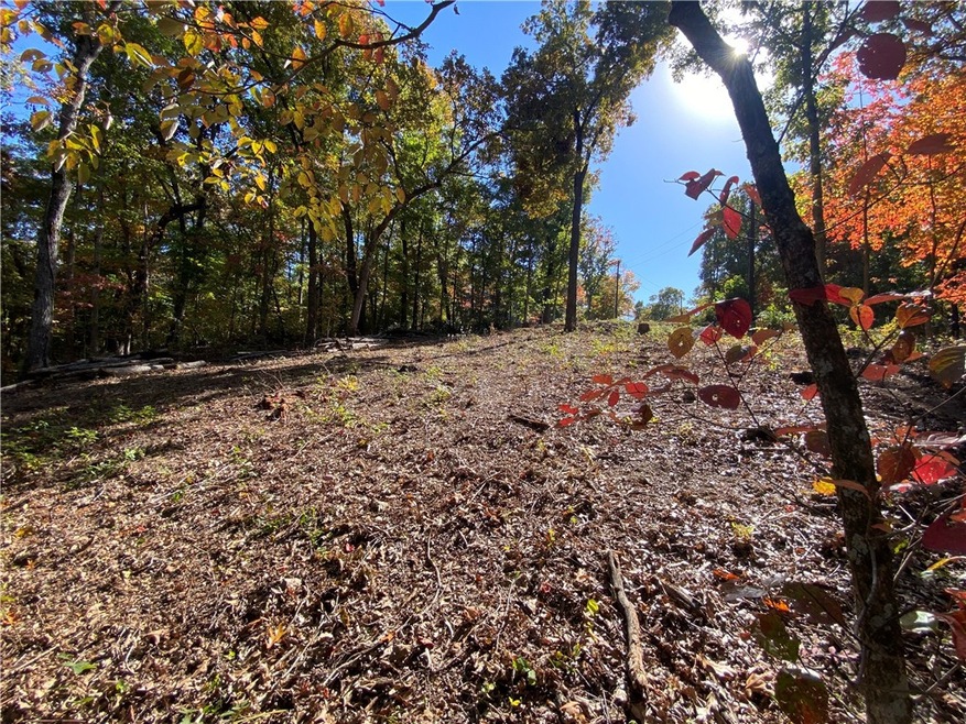 22 Carew Dr, Bella Vista, AR 72714 - photo 1