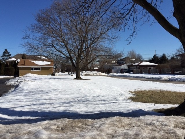 535 N Walnut St, Elmhurst, IL 60126 - photo 1