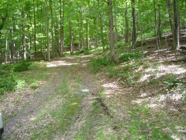 0 Lake Surprise Rd unit ONEH4523637, Philipstown, NY 10516 - photo 1