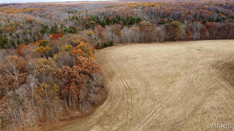 Tract 5 Polston Ln, Hickory Grove Township, MO 63357 - photo 1