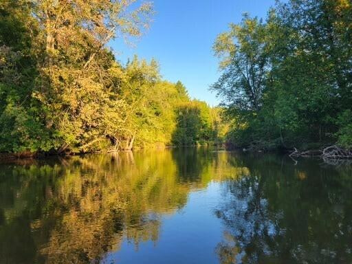 Sold $65,000 • Co-Listing Agent