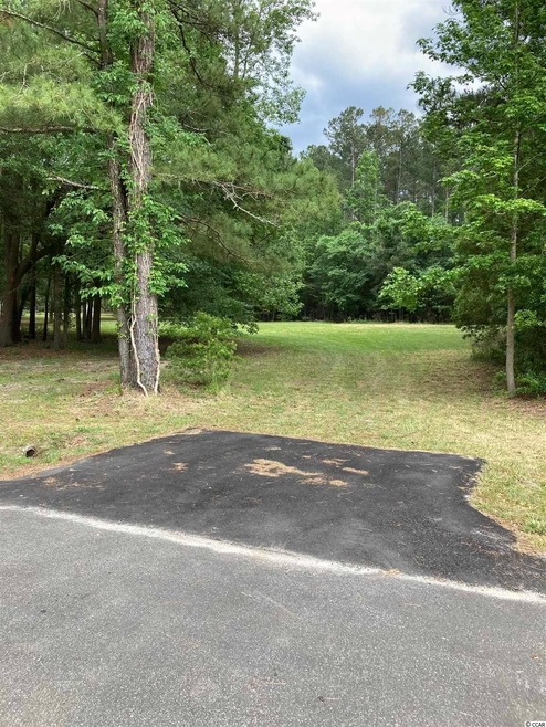 5234 Alligator Ct unit Lot 18 Caines Landin, Conway, SC 29526 - photo 1