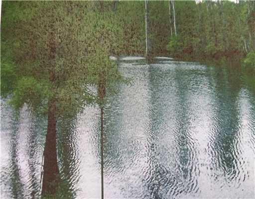 Primary Photo