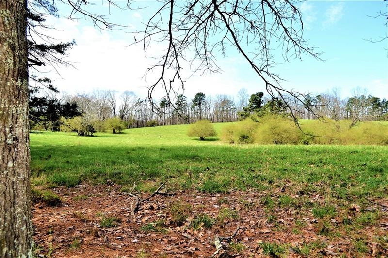Incredible pasture land on a portion of this tract
