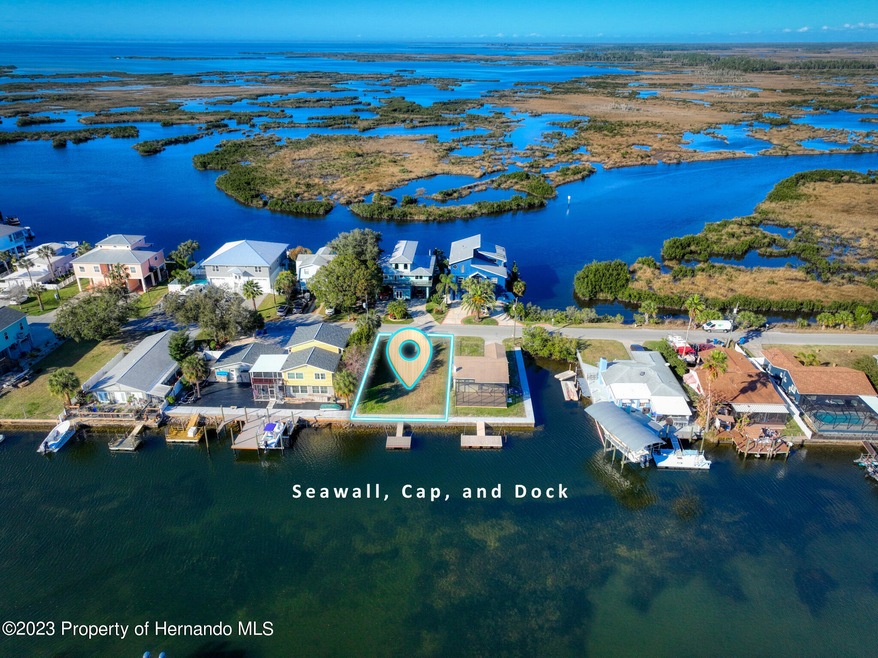 Eagles nest 5 seawall cap dock