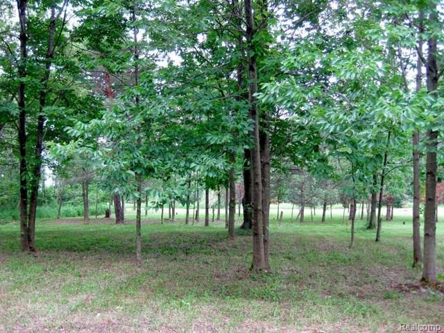 Lot_2_spring09_web.jpg