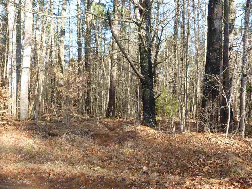 38 Peacham Rd, Center Barnstead, NH 03225 - photo 1