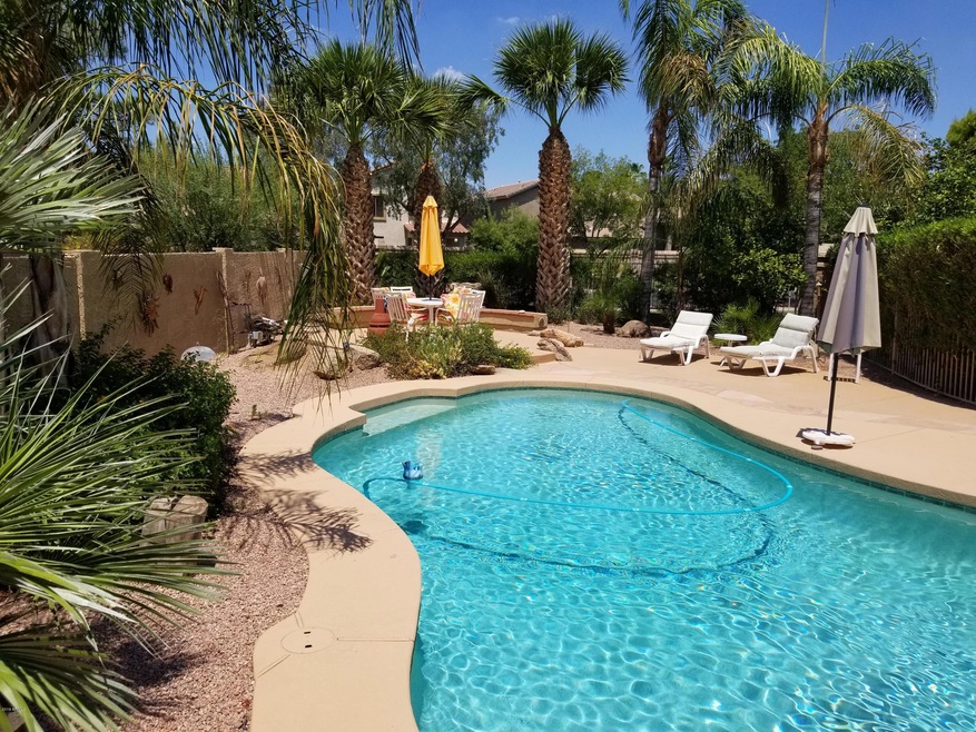 What a pool area