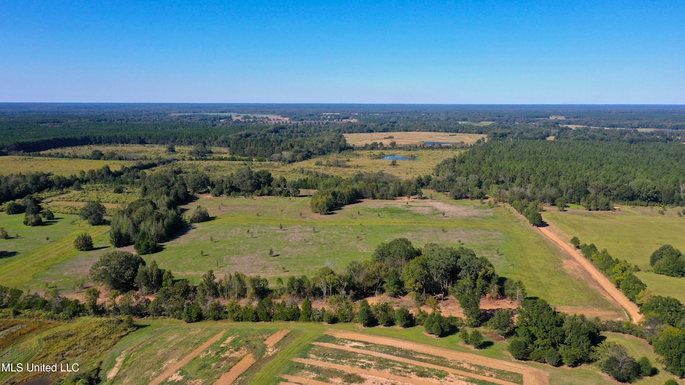 0 Middleton Rd, Flora, MS 39071 - photo 1