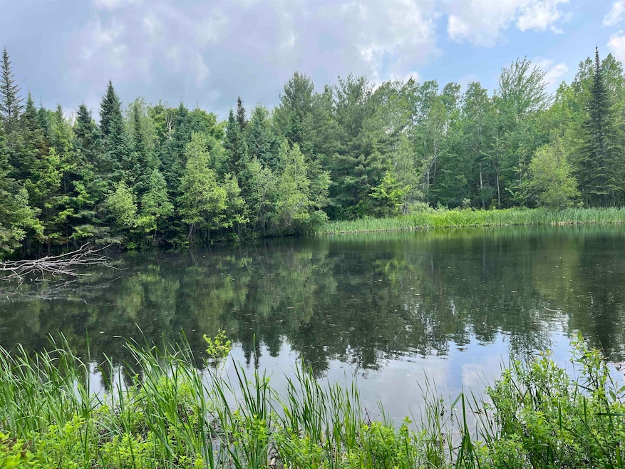 00 Guyette Rd, Lowell, VT 05847 - photo 1