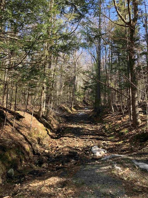 0 White Rd unit 4853123, Readsboro, VT 05350 - photo 1