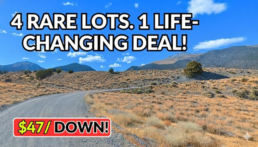 108 Toquima Way, Austin, NV 89310 - photo 1