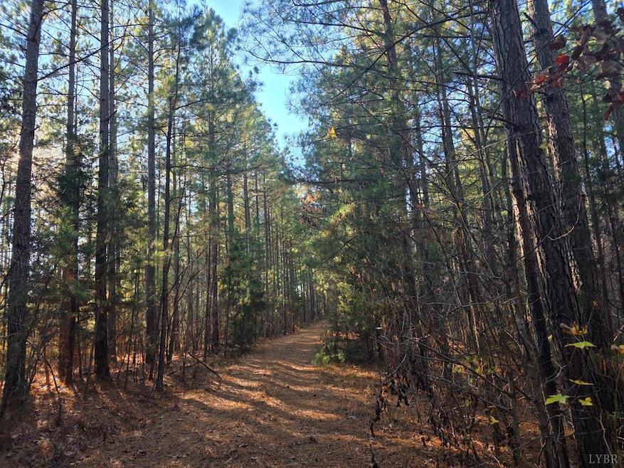 0 Mountain Creek Rd unit 363325, Meherrin, VA 23954 - photo 1