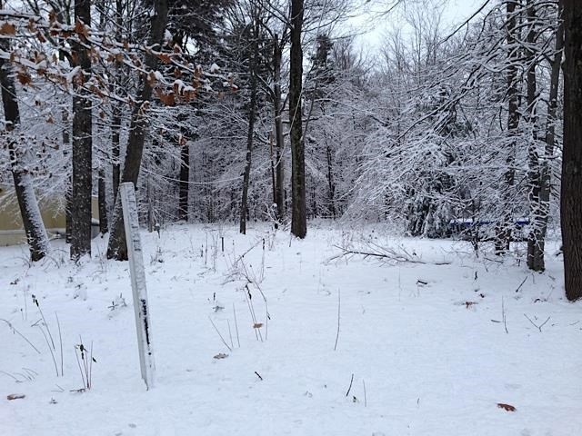 Looking from street into lot