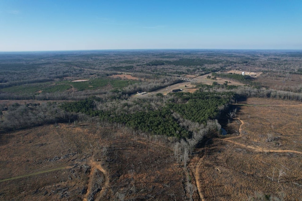 Hwy 12, Durant, MS 39063 - photo 1