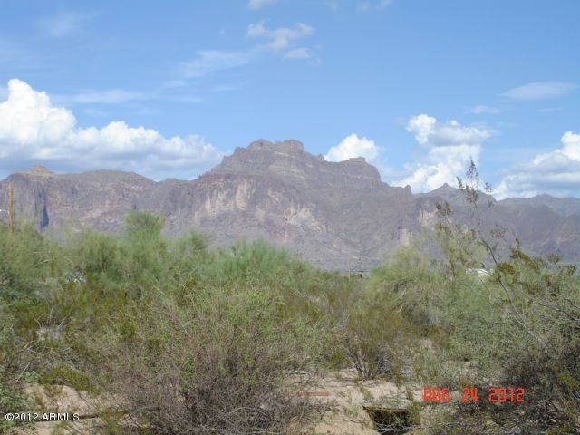 DSC05994