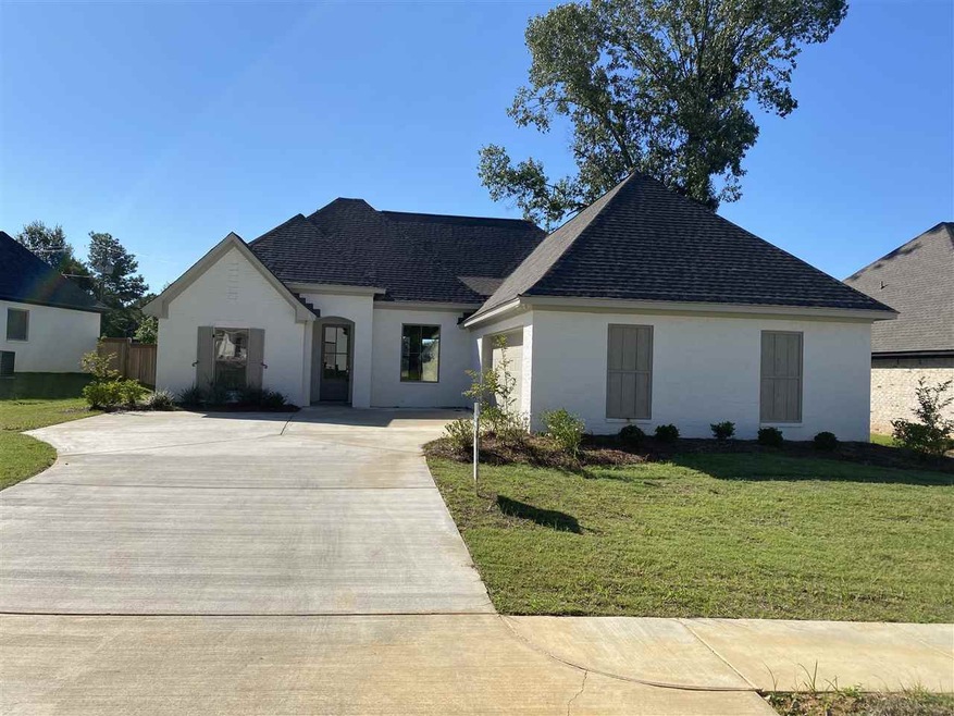 105 Shore View Dr, Madison, MS 39110 - photo 1