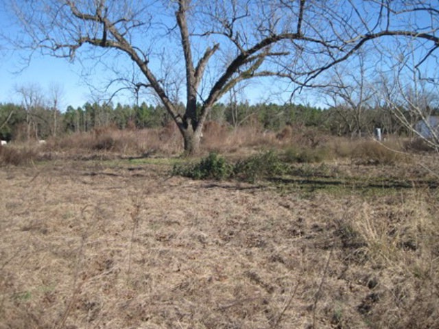 10338 Stage Coach Rd, Baconton, GA 31716 - photo 1