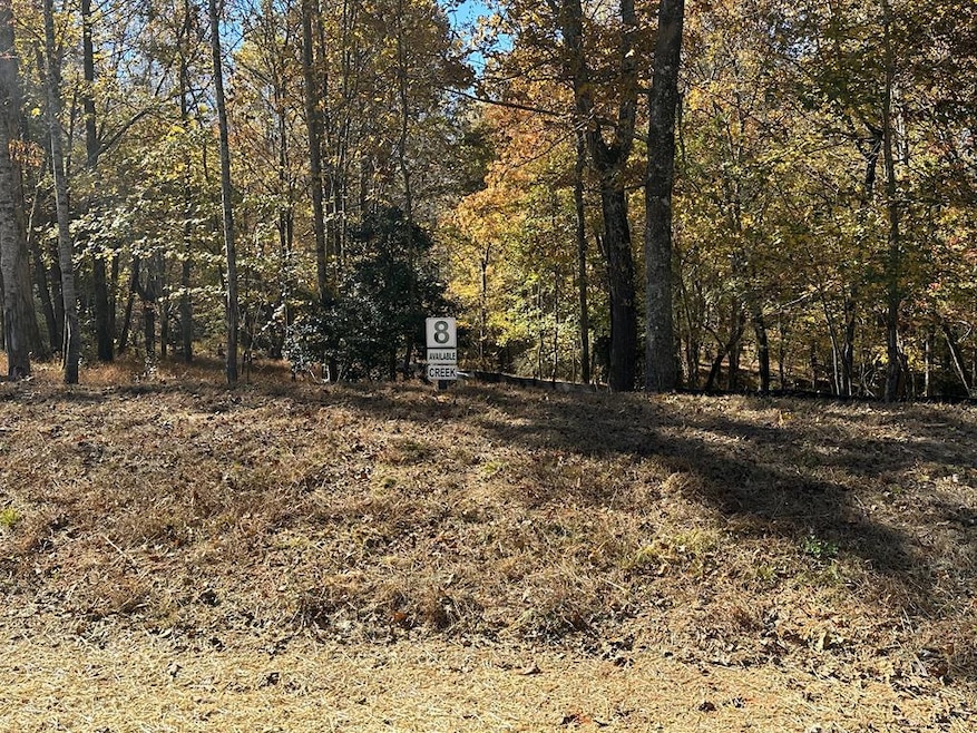 LOT 8 Clear Creek Preserve Way, Ellijay, GA 30536 - photo 1