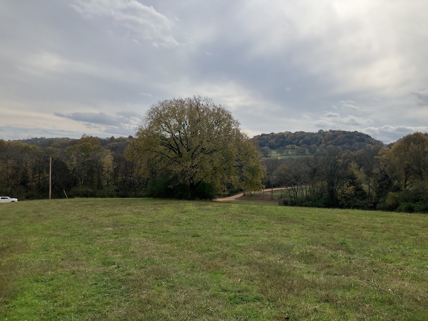 7 Booker Ridge Rd, Mount Pleasant, TN 38474 - photo 1