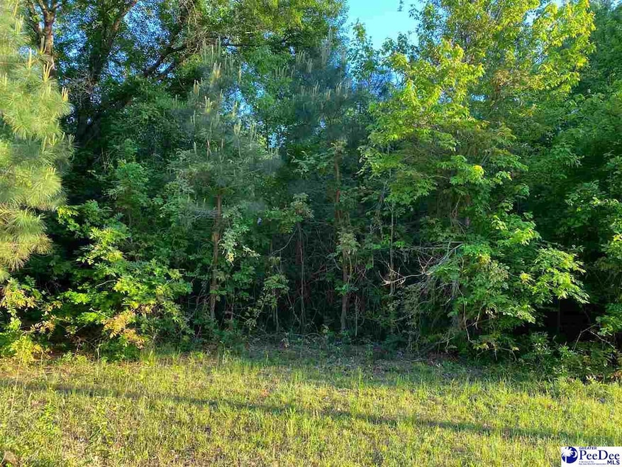 0 Poor Farm Rd, Florence, SC 29505 - photo 1