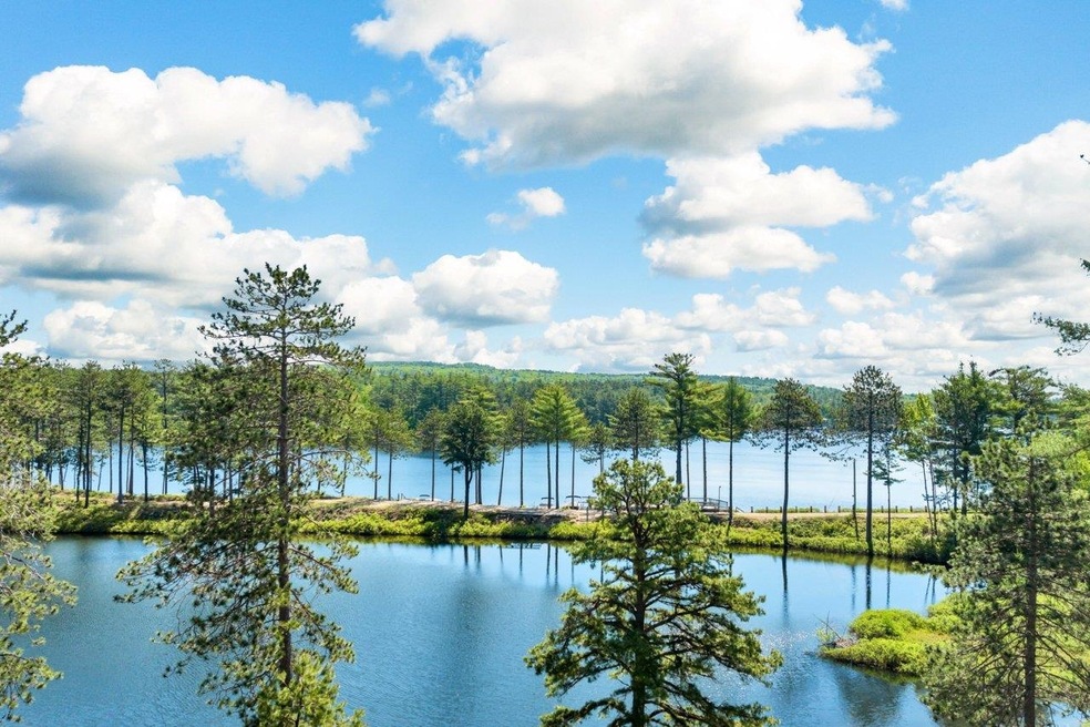 207 Michawanic Rd unit 8D, Sanbornville, NH 03872 - photo 1