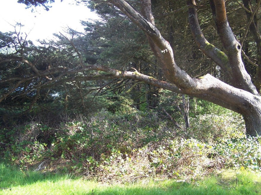 Ocean view lot
