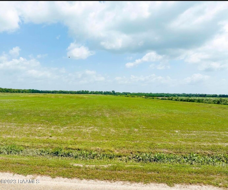 TBD Trudell Ln unit 8, Basile, LA 70515 - photo 1