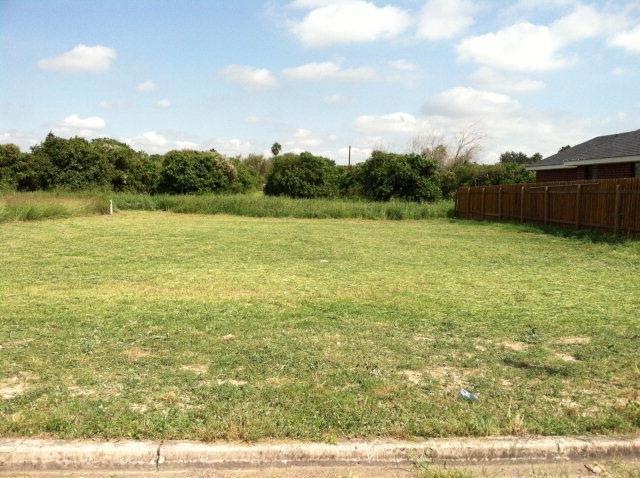 lot 11 Maria Luiza Dr, Edinburg, TX 78539 - photo 1