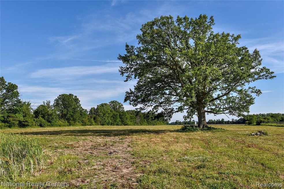 Almont Vacant Land 20 Acres (8).jpg