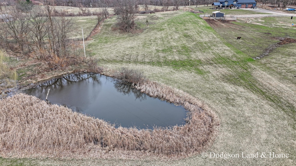 Pond Aerial