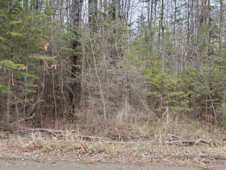 lot 7-B Johnson Flat Rd, Pittsfield, ME 04930 - photo 1