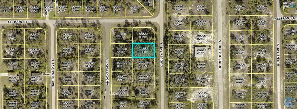 830 Dudley Ave S, Lehigh Acres, FL 33974 - photo 1