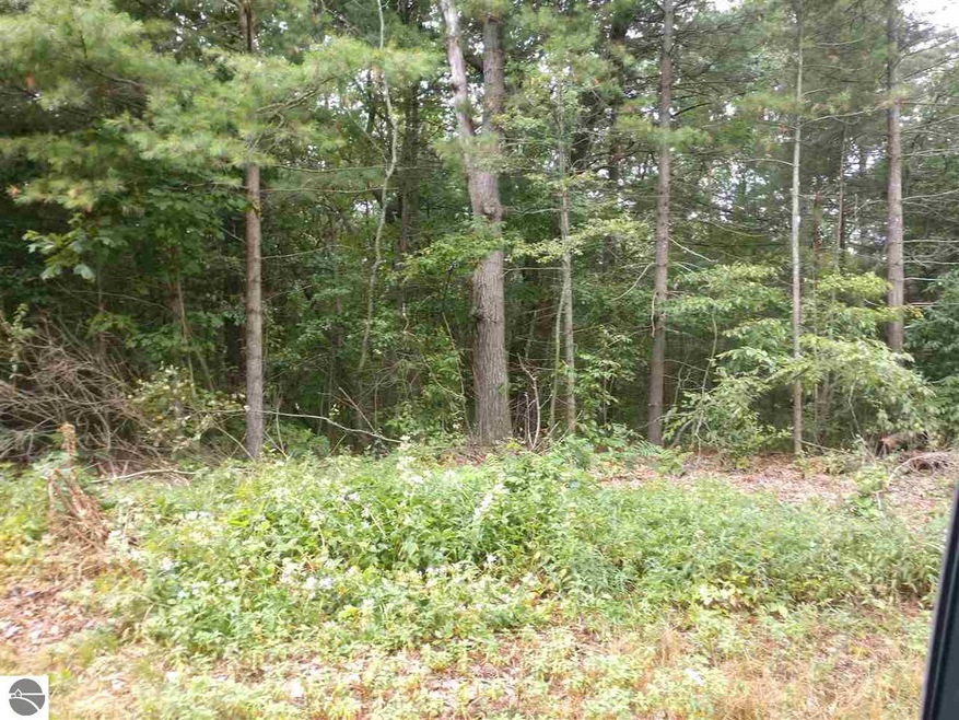 N/A Crescent Ave, Au Gres, MI 48703 - photo 1