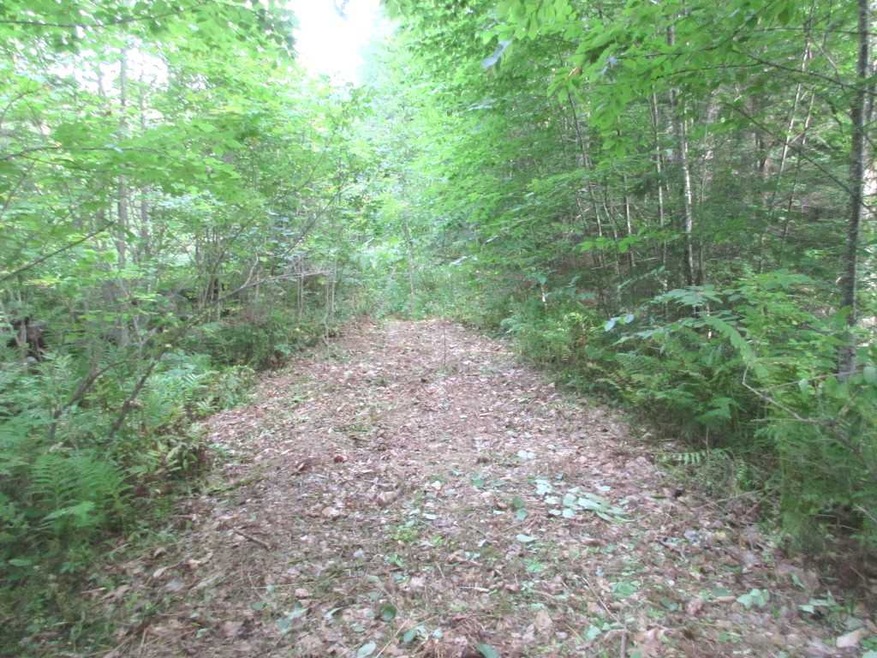 0 Route 114, Sutton, NH 03260 - photo 1