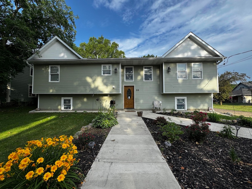 313 N Matteson St, Bronson, MI 49028 - photo 1