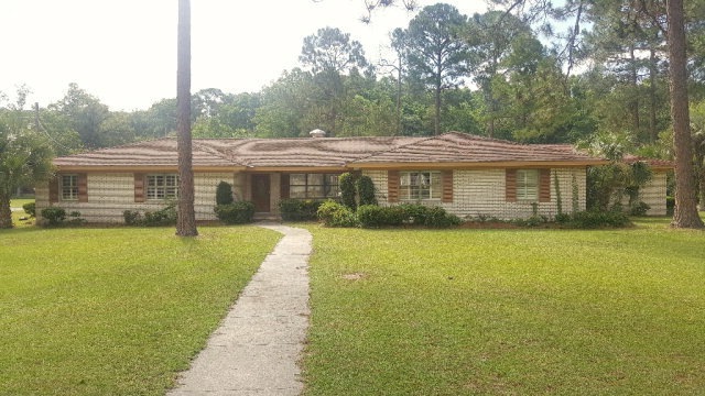 Main View