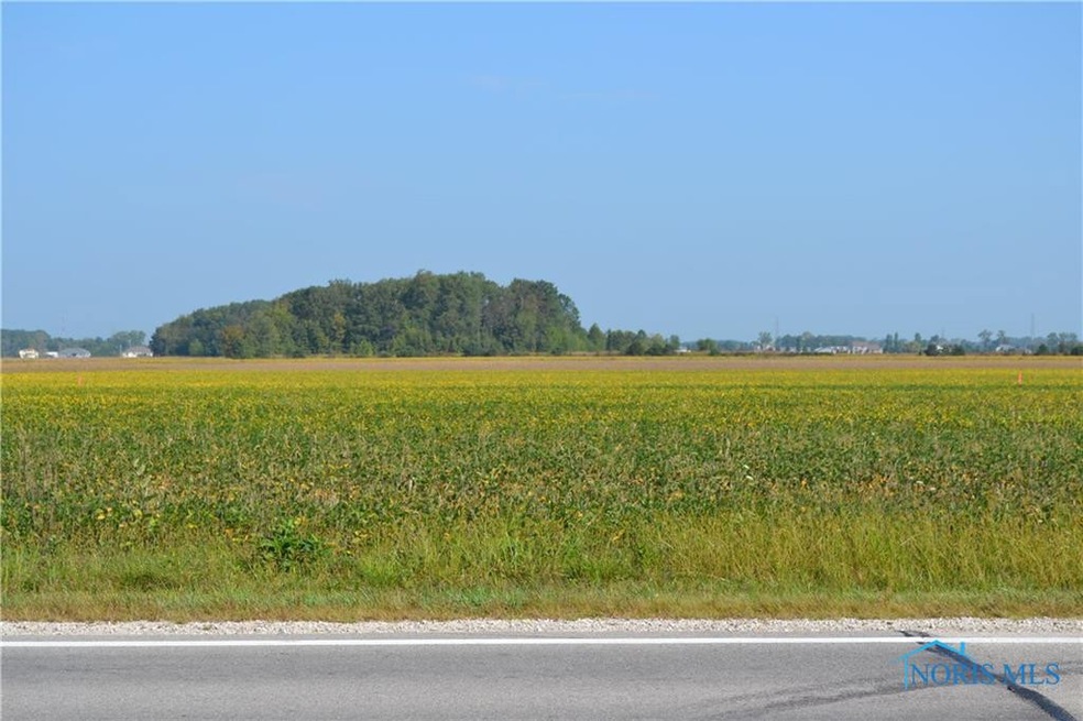 19441 W State Route 579, Curtice, OH 43412 - photo 1