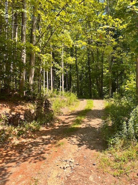 L7.41 Summit Lake Rd, Argyle, NY 12809 - photo 1
