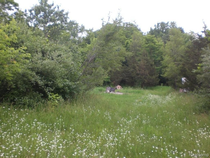 CIMG6317.JPG
