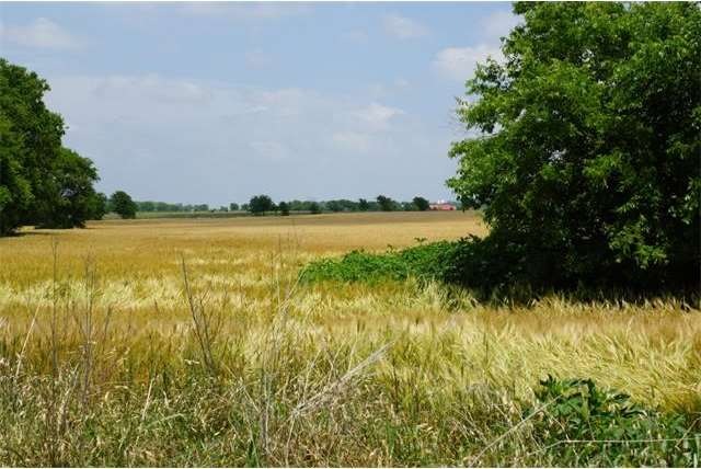View from FM 1105
