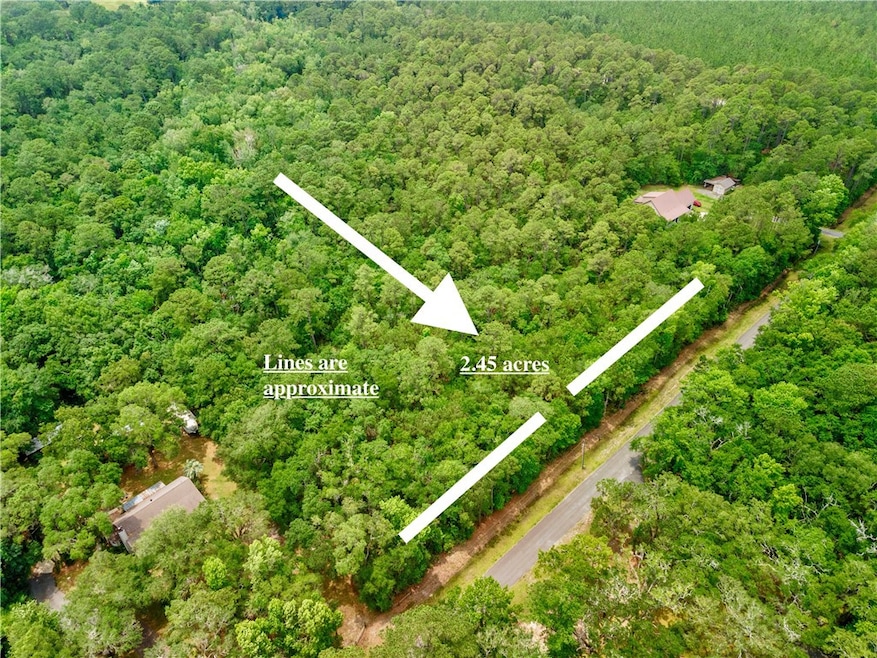 0 Manchester Place Rd, Townsend, GA 31331 - photo 1