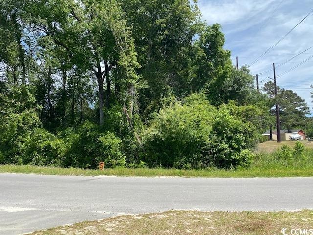 TBD Liz Ln, Conway, SC 29527 - photo 1