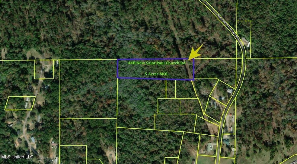 44 New Saint Paul Church Dr, Waynesboro, MS 39367 - photo 1